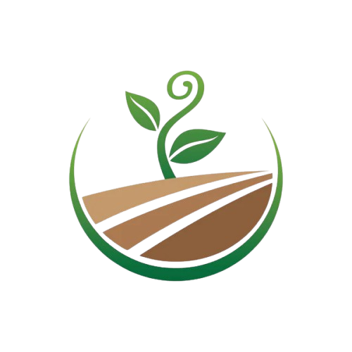 Category Image