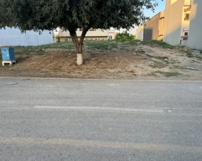 plot-1